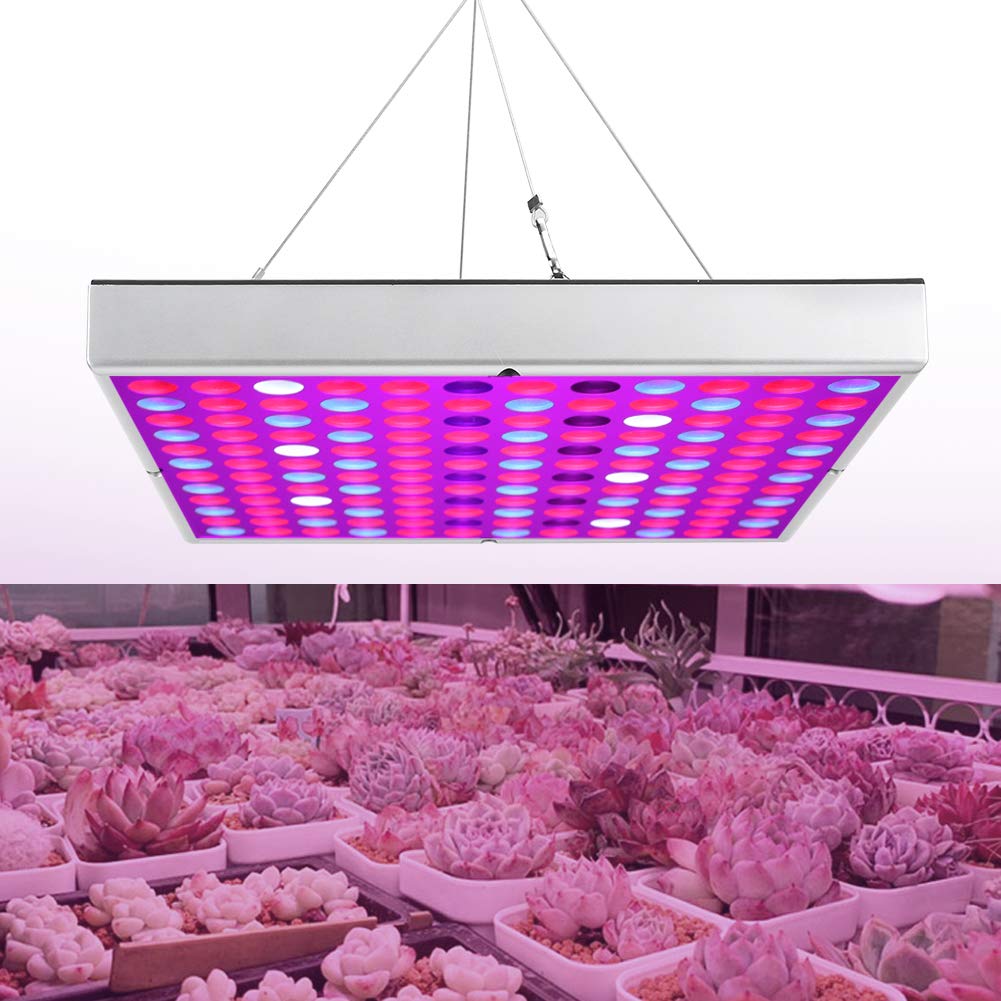 Best LED Grow Lights for Indoor Plants - Full Spectrum Plant Light Bulbs, Energy Saving Grow Lamp for Basement, Greenhouse & Hydroponics - Perfect for Potted Plants, Herbs & Seedlings