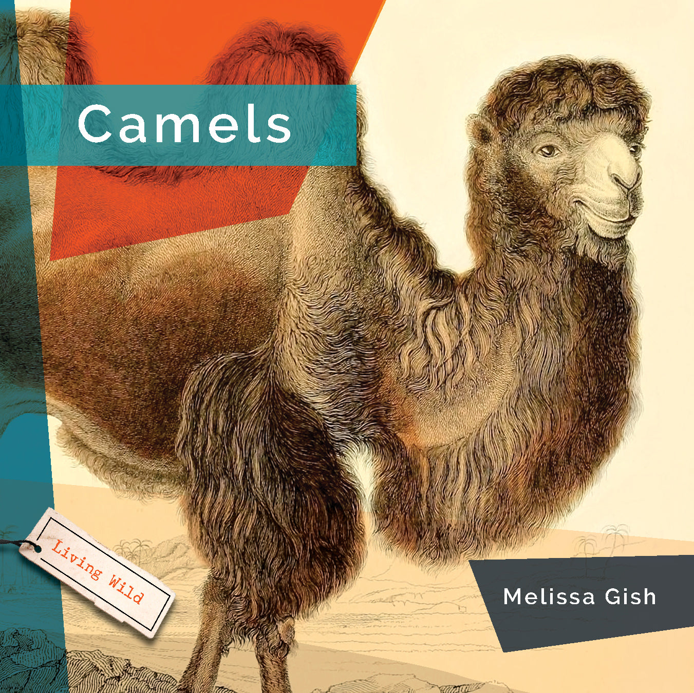 Camels - 9781640265967 | Desert Animal Book for Kids | Educational Wildlife Reading for Classroom & Home Learning