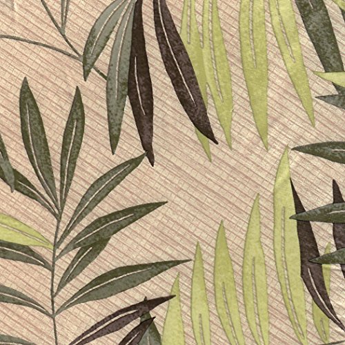 Fern