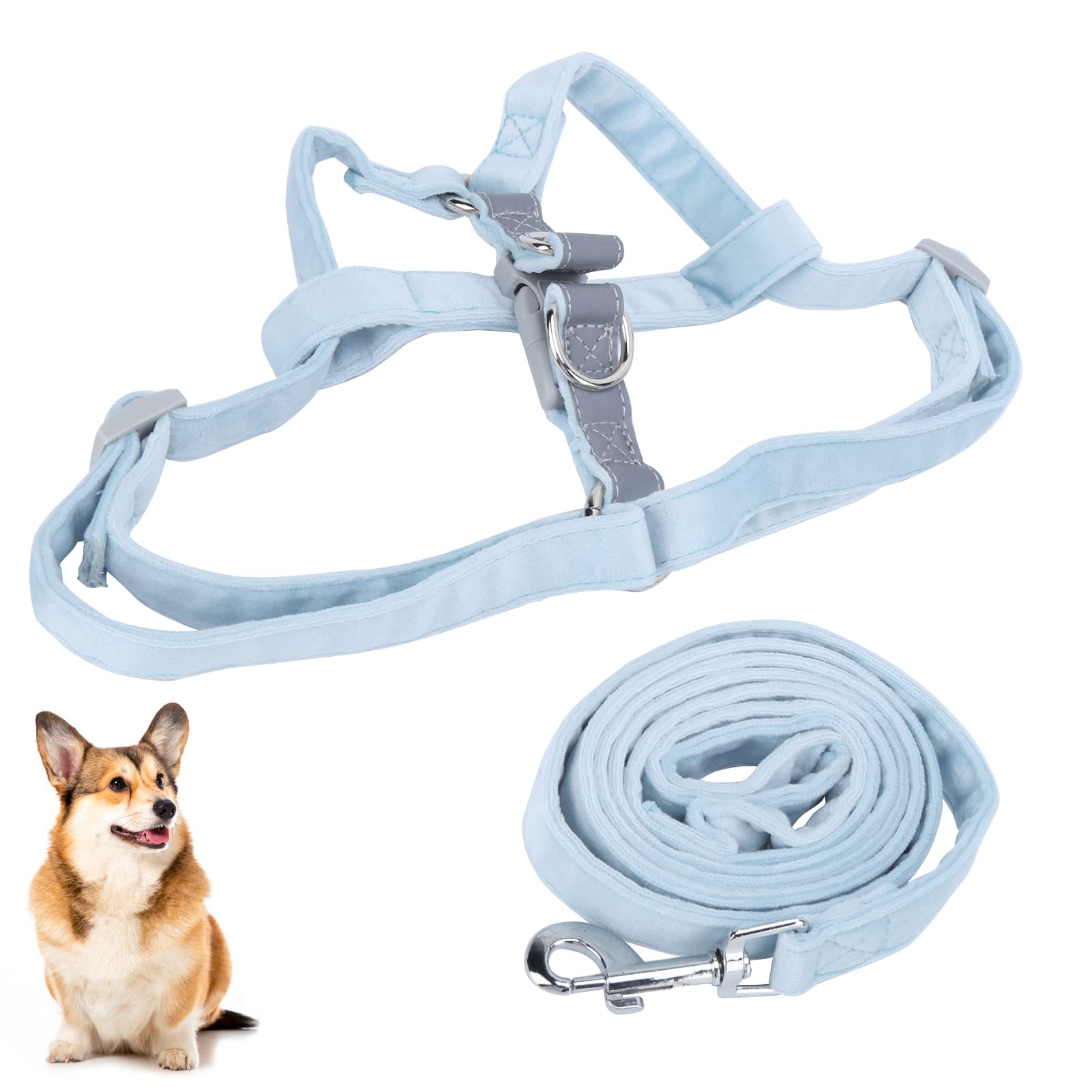 No Pull Dog Harness - Adjustable Pet Harness for Small & Medium Dogs - Perfect for Outdoor Walking