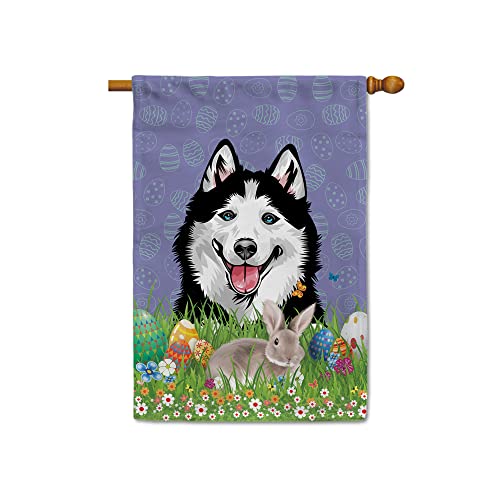 Siberian Husky