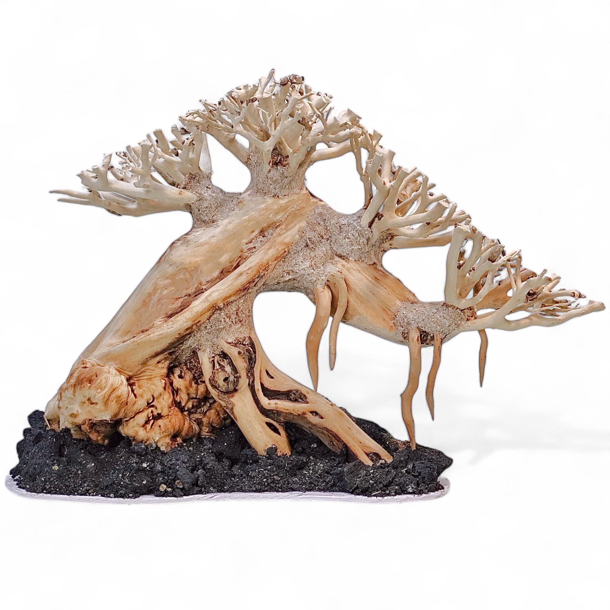 Natural Bonsai Driftwood for Aquarium Decor - Fish Tank Decoration Wood for Aquatic Plants & Shrimp Tanks - Perfect for Aquascaping & Betta Fish Habitats