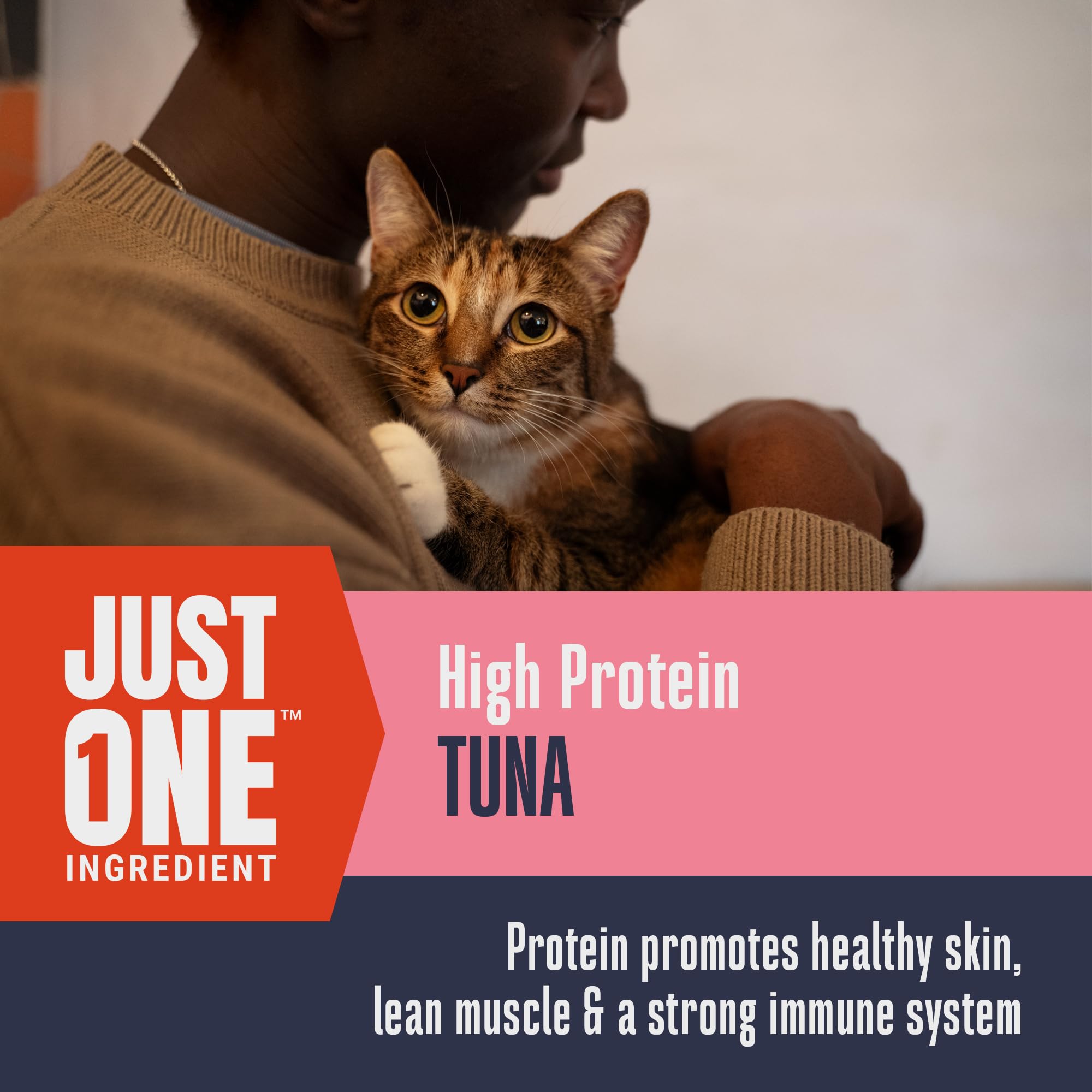 Premium Freeze-Dried Tuna Cat Treats - Human-Grade, High-Protein Snacks for Training & Health | USA-Made Natural Cat Food Topper | 1.5 oz Pack | Perfect for Rewards, Mealtime Boost & Bonding with Your Feline Friend
