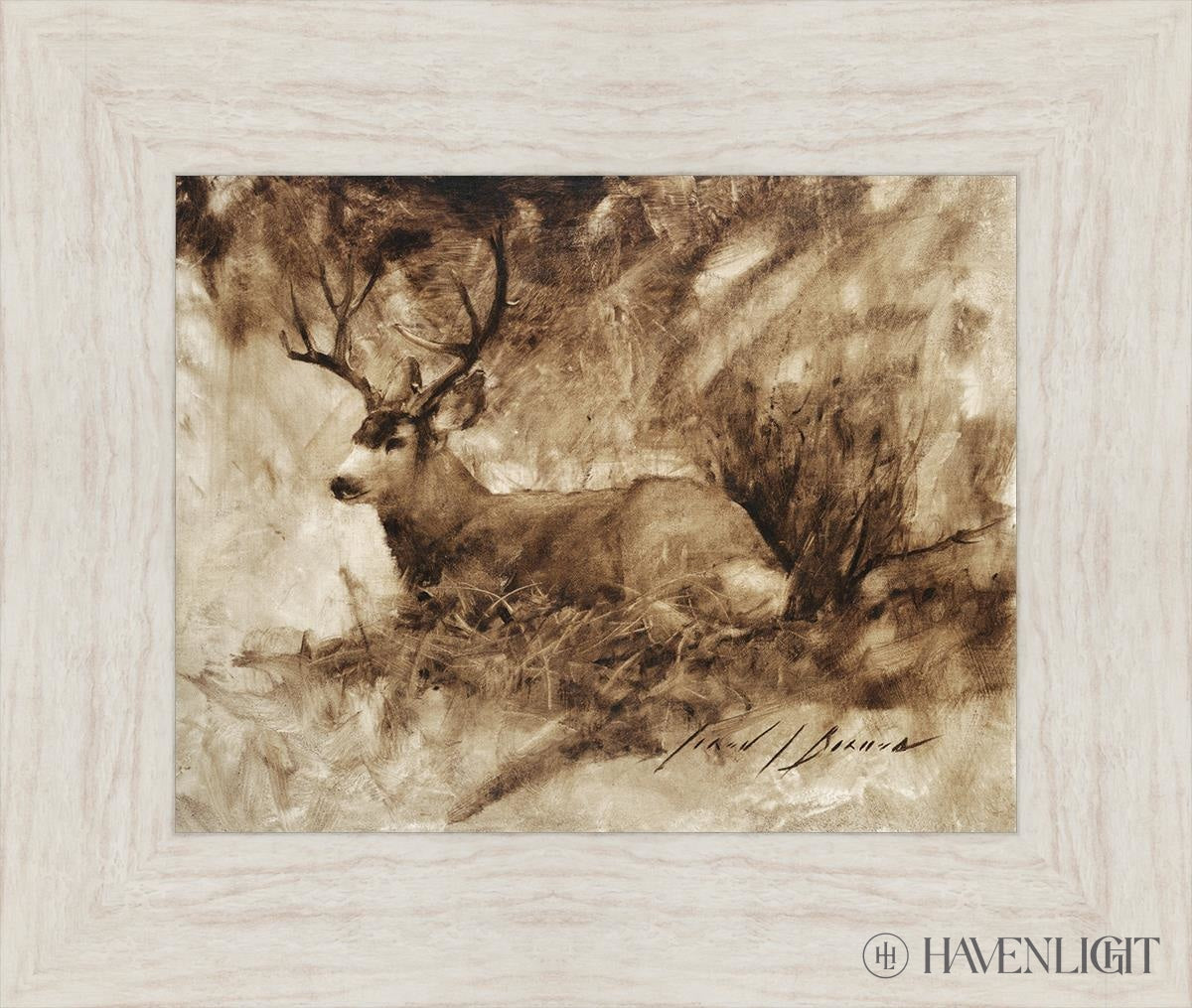 Bedded Buck By Jared Barnes - Premium Hunting & Outdoor Gear for Camping, Hiking & Adventure Enthusiasts