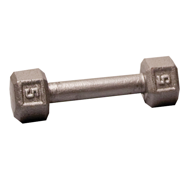 Body Solid Iron Hex Standard Dumbbell Set - 5-50 lbs Gray Weights for Home Gym & Strength Training | Perfect for Weightlifting, CrossFit & Fitness Workouts
