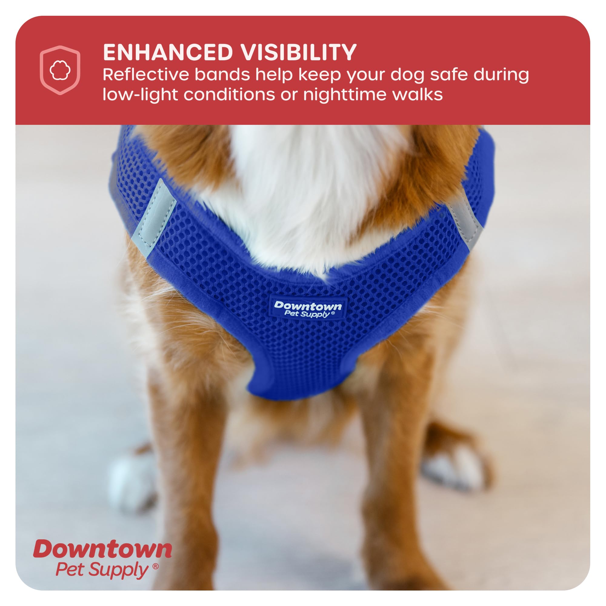 Downtown Pet Supply Step-in Dog Harness for Small Dogs & Cats - No Pull Adjustable Pet Harness with Padded Mesh Fabric & Reflective Trim - XXS Blue Buckle Strap Harness for Teacup Breeds - Perfect for Walking, Training & Outdoor Adventures