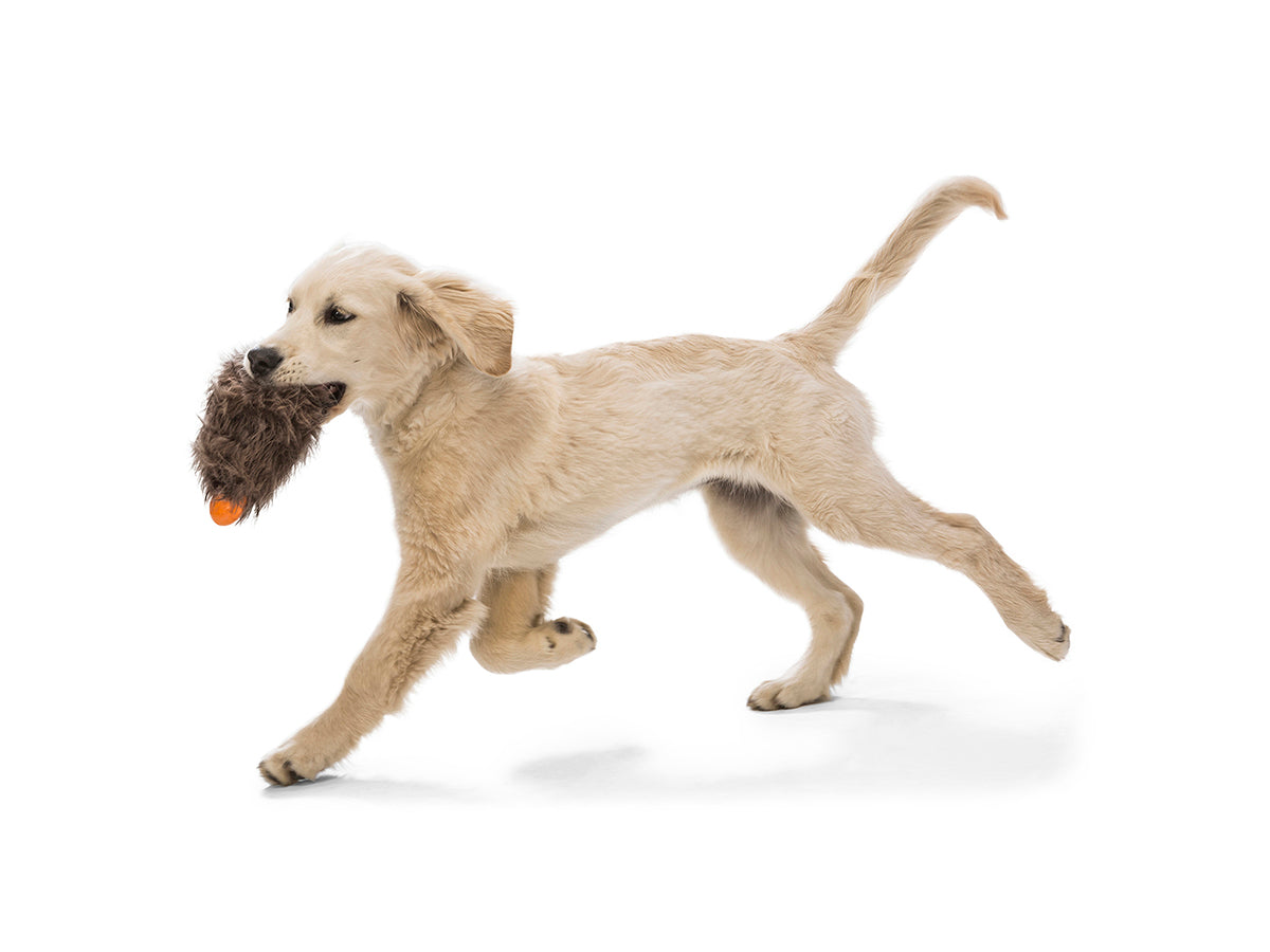 West Paw Design Rosebud Dog Toy - Durable Chew Toy for Small & Medium Dogs, Non-Toxic & Eco-Friendly - Perfect for Indoor Play, Fetch, and Training Sessions