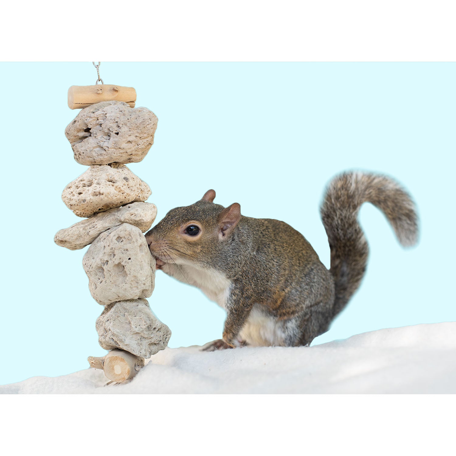 Natural Pumice Chew Dangle for Parrots - Bird Chewing Toy with Mineral Supplement for Beak Health | Perfect for Cage Enrichment & Playtime