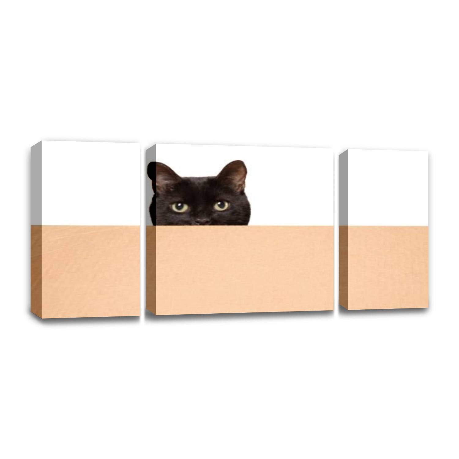 CCArtist Black Cat Peeking Over Cardboard Box Canvas Wall Art Print - Modern Hidden Cat Painting for Living Room & Bedroom Decor - Perfect for Pet Lovers & Cozy Home Aesthetics