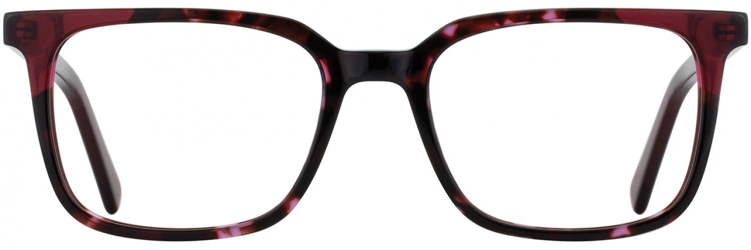 3 - Cherry Tortoise