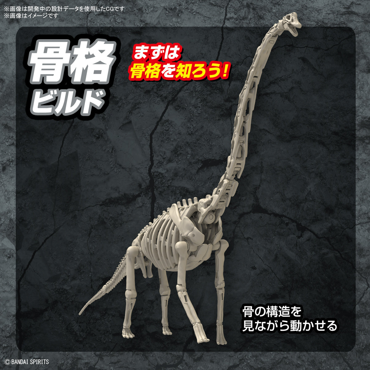 Bandai Plannosaurus Brachiosaurus Dinosaur Model Kit - Premium Collectible Building Set for Kids & Adults - Perfect for Home Decoration, School Projects & Dinosaur Enthusiasts