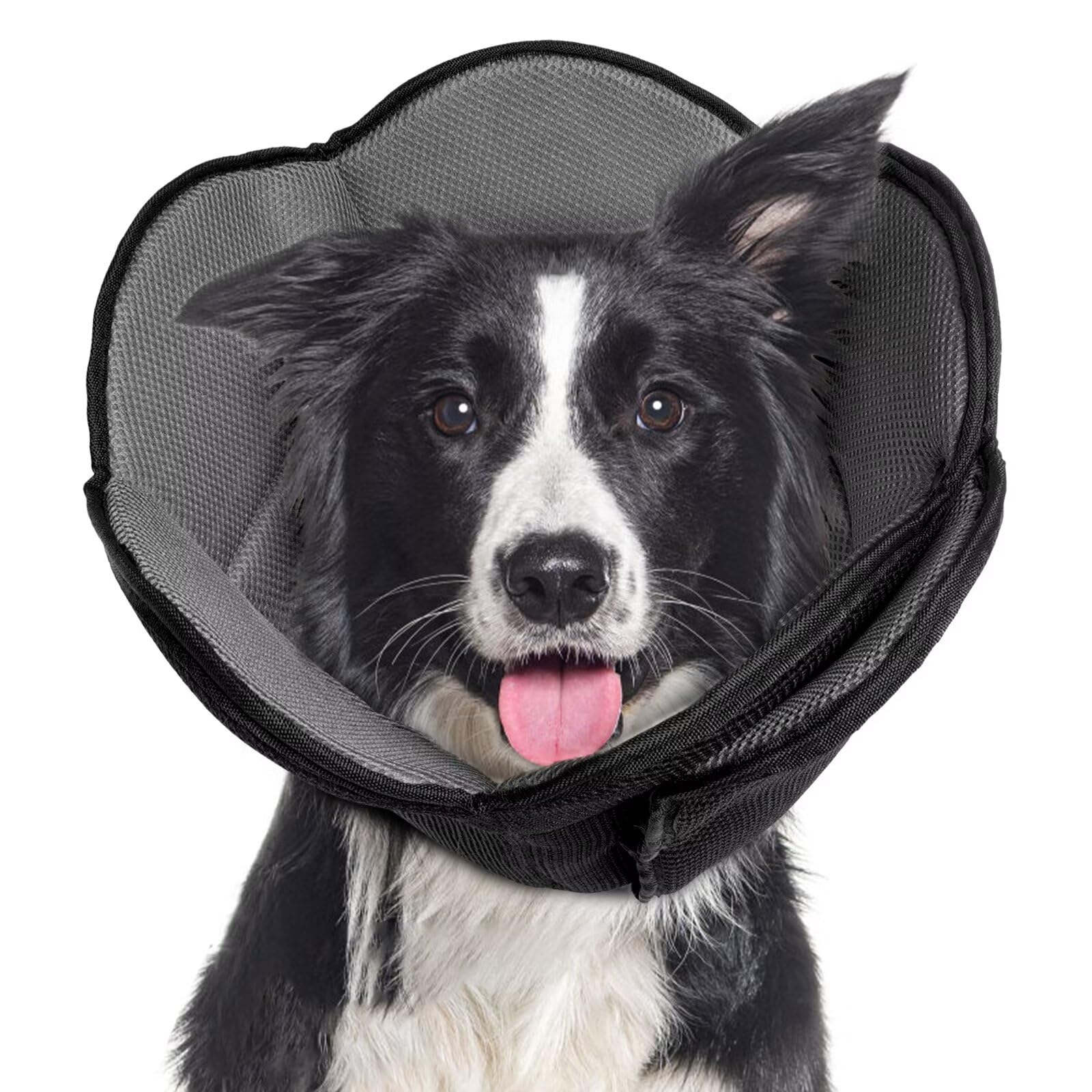 Adjustable Soft Dog Cone Collar for After Surgery - Comfortable Protective Recovery E-Collar for Large, Medium, Small Dogs & Cats - Prevents Licking Stitches, Wounds & Rashes (Black, XL) - Perfect for Post-Surgery Care & Wound Healing