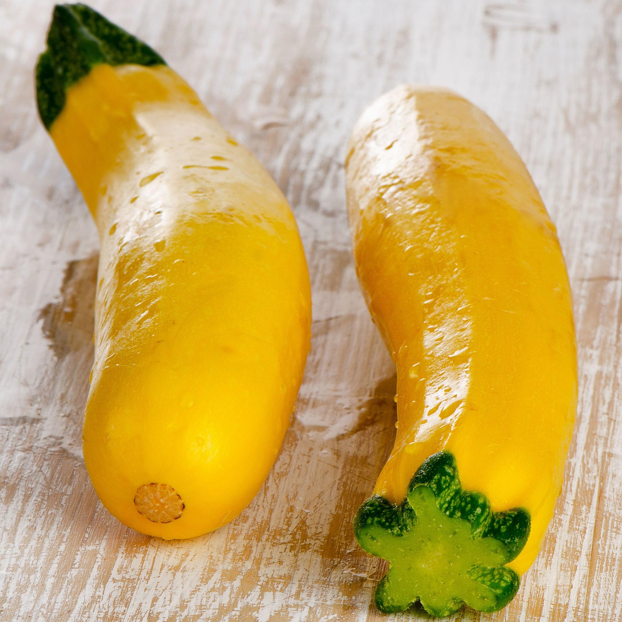Non-GMO Early Prolific Straightneck Summer Squash Seeds for Planting - 5 lbs | Low-Maintenance Vegetable Seeds for Warm Season Gardening in Zones 3-10 | Perfect for Home Gardens, Raised Beds & Container Planting