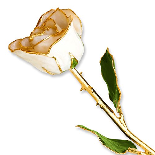 White Satin