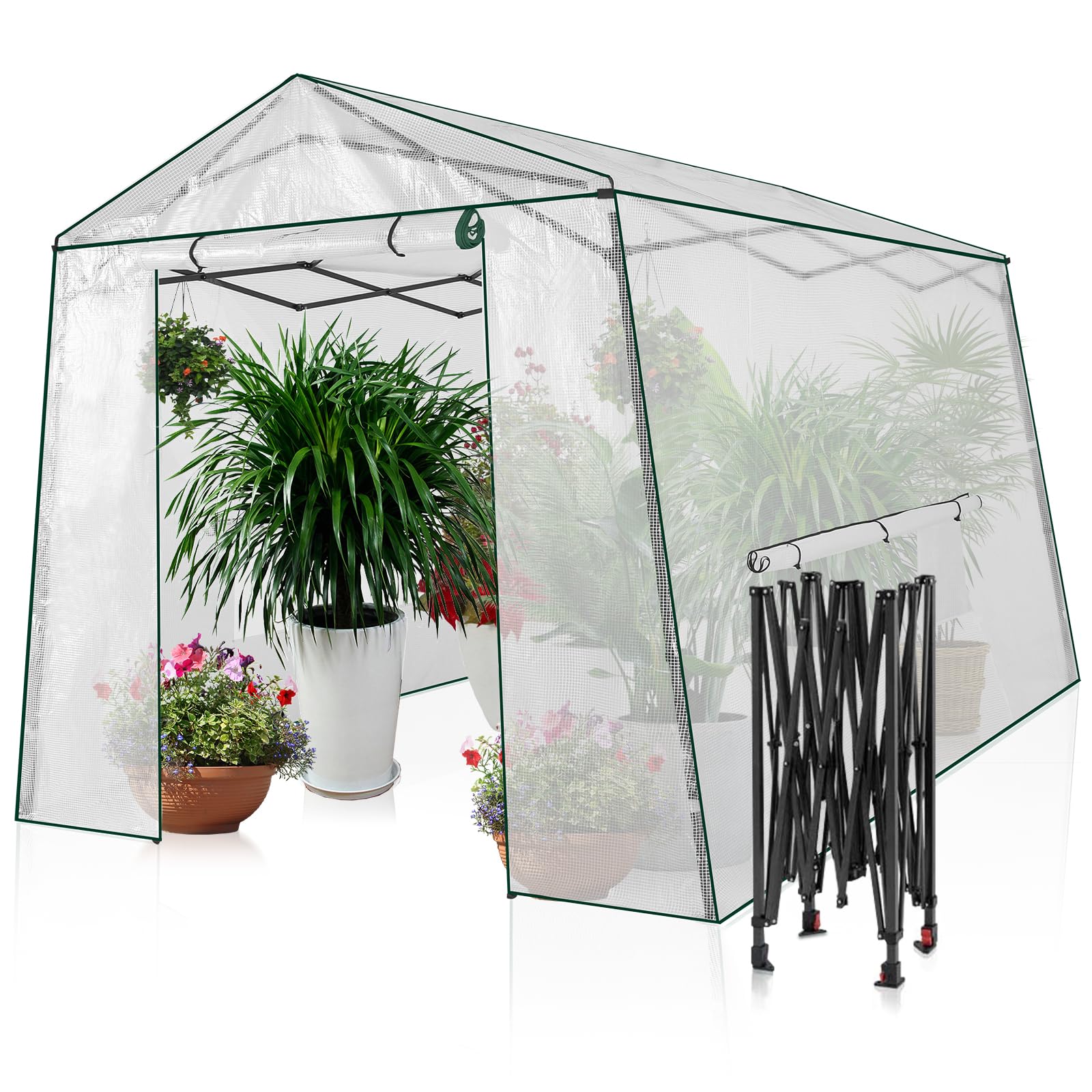 8.5 Ft x 7 Ft Walk-in Greenhouse with Roll-up Zipper Doors & 3 Large Windows - Portable Pop-up Outdoor Plant Canopy for Gardening, Vegetables & Flowers (Medium, Clear) | Perfect for Backyard, Patio & Small Farm Use