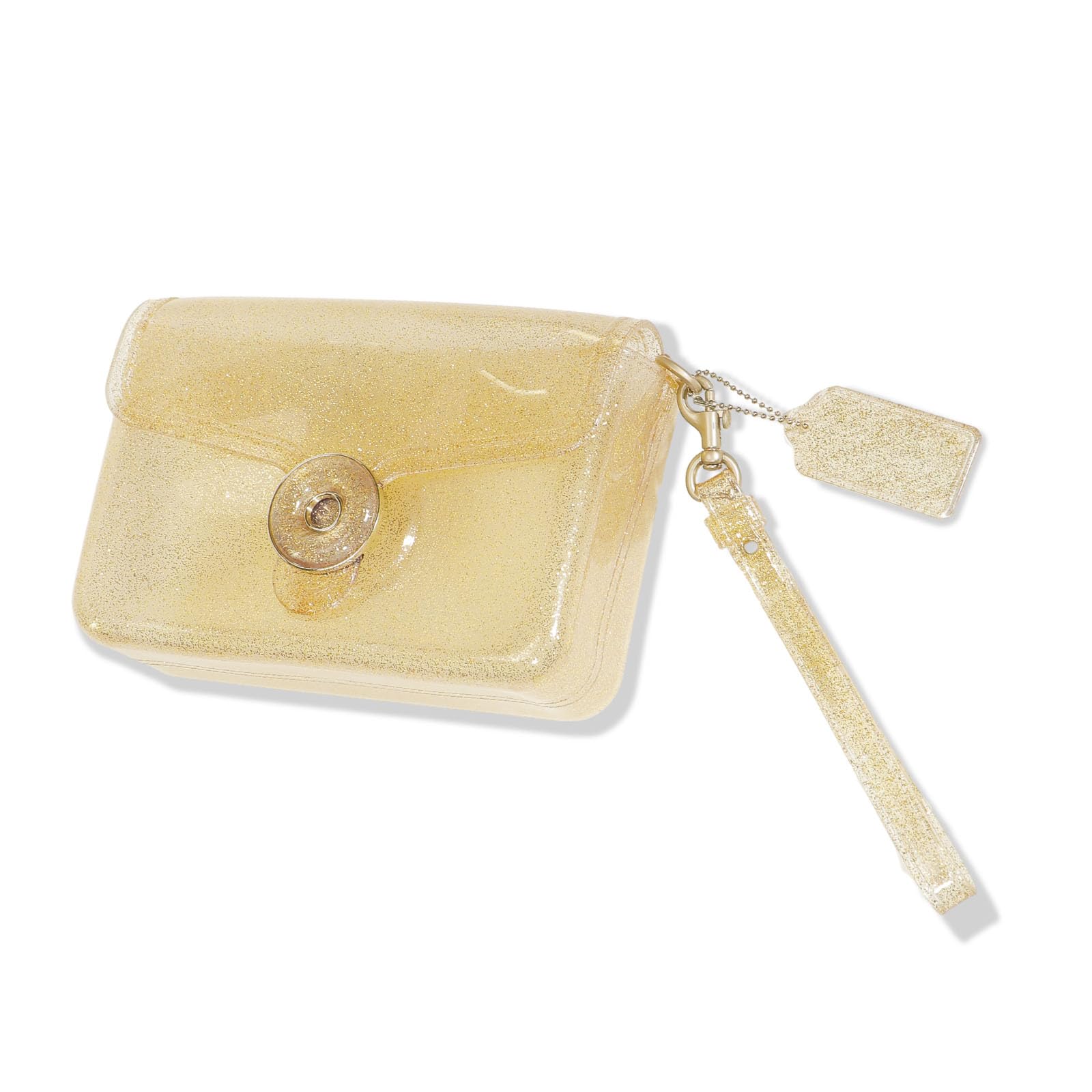 Jelly Tabby Bag - Clear Crossbody Bag for Women with Chain, Vintage-Inspired Convertible Wristlet & Shoulder Purse | Perfect for Concerts, Festivals, Beach & Everyday Use