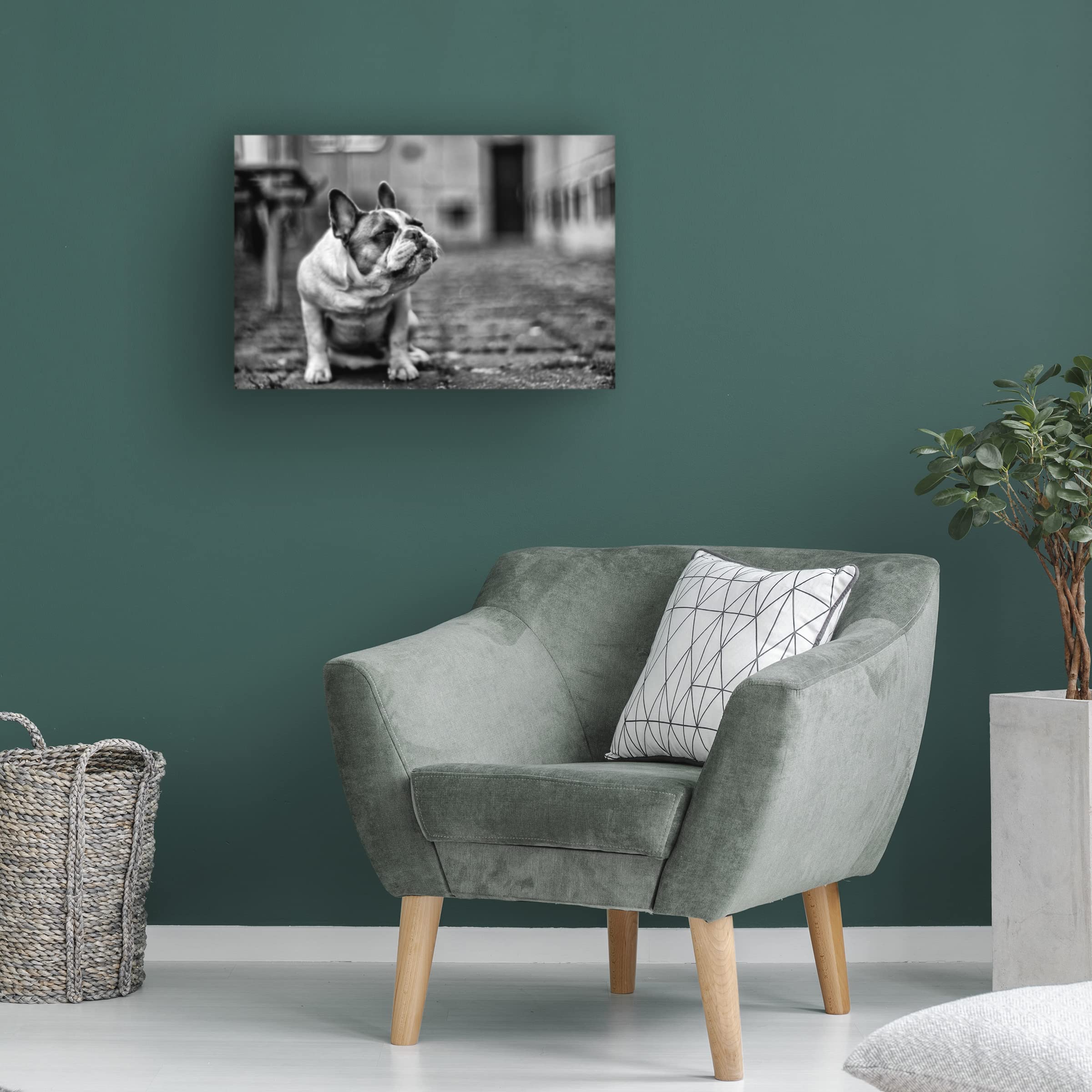 Petr Sedy Dog Canvas Art Print - Handmade Wall Decor for Living Room, Bedroom & Office - Premium Trademark Fine Art Collection