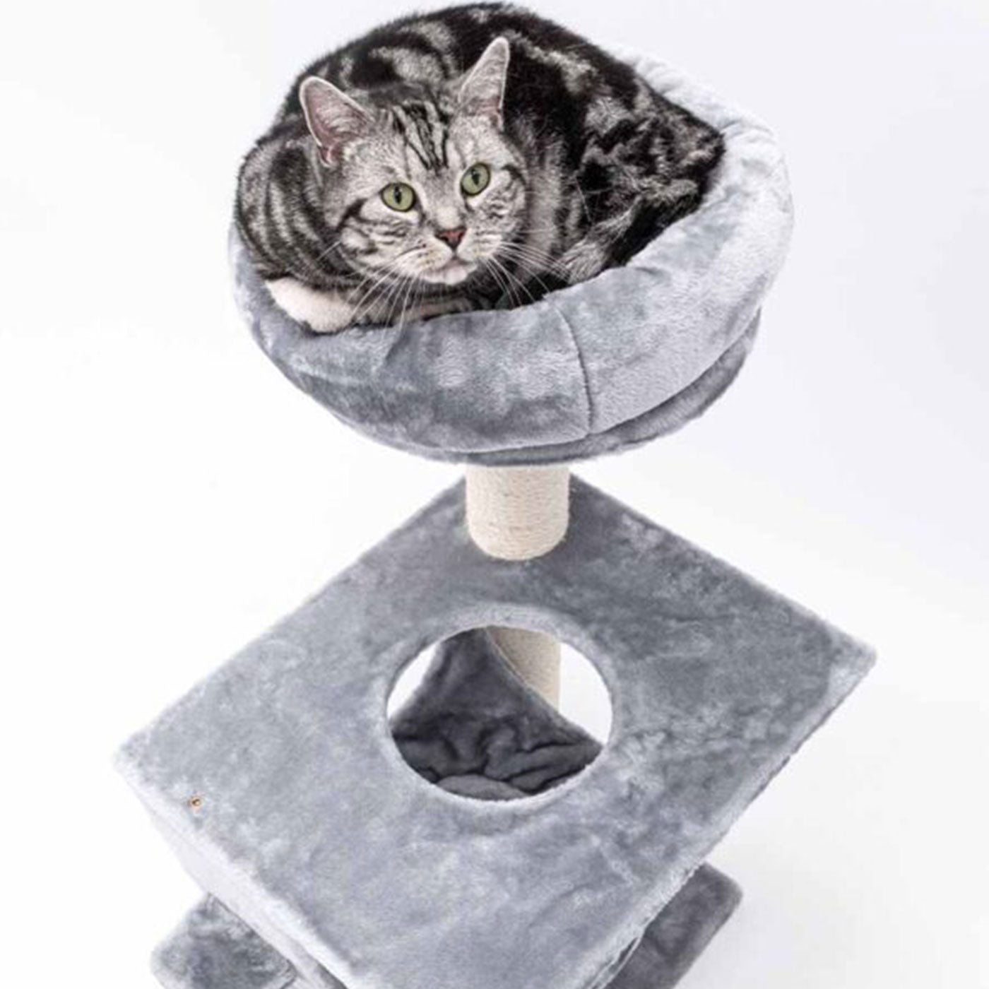 Little Rebels Seattle 89cm Cat Tree with Scratching Posts & Perches - Premium Cat Climbing Tower for Indoor Cats - Perfect for Small Spaces & Playtime