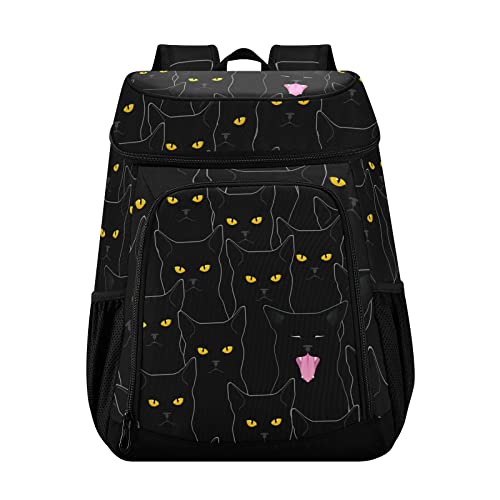 12-Cat