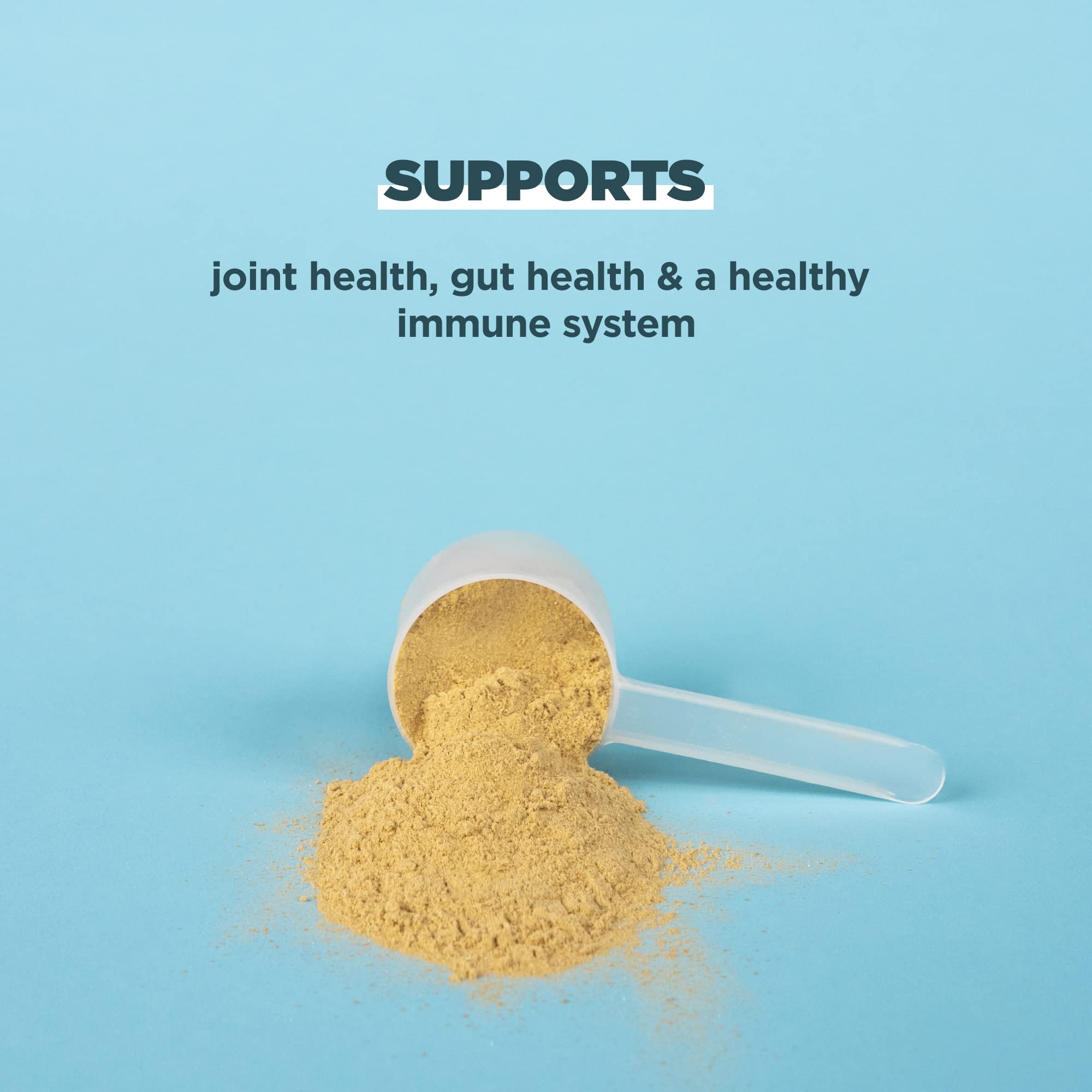 Ancient Nutrition Grass Fed & Cage Free Bone Broth Protein Powder - 20g Protein Per Serving with Hydrolyzed Collagen Peptides, Glucosamine & Chondroitin - Supports Joint & Gut Health - Vanilla Flavor (20 Servings) - Ideal for Post-Workout Recovery, Keto Diet & Immune System Boost