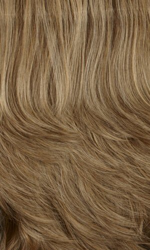 24H18 (Medium Ash* Blonde) / (Light Ash* Brown) Highlights