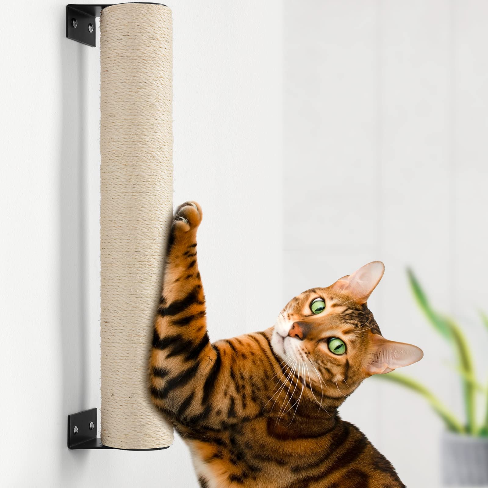 BEBOBLY Wall Mounted Cat Scratching Post - Solid Wood Cat Activity Tree with Sisal Rope & Hanging Ball | Multi-Level Kitten Climbing Furniture for Indoor Cats | Perfect for Small Spaces & Cat Exercise