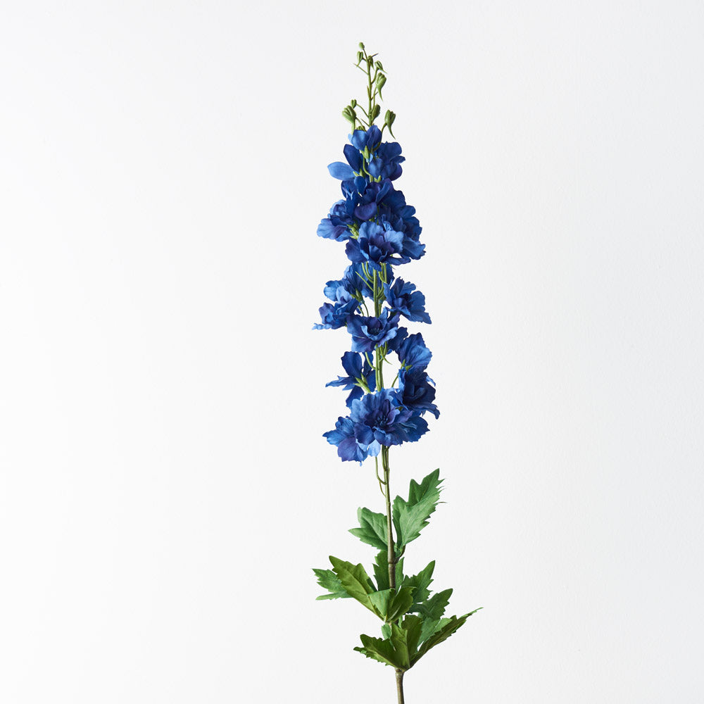 Delphinium Blue Flowers - Fresh Cut Garden Perennials for Bouquets, Wedding Decor & Floral Arrangements