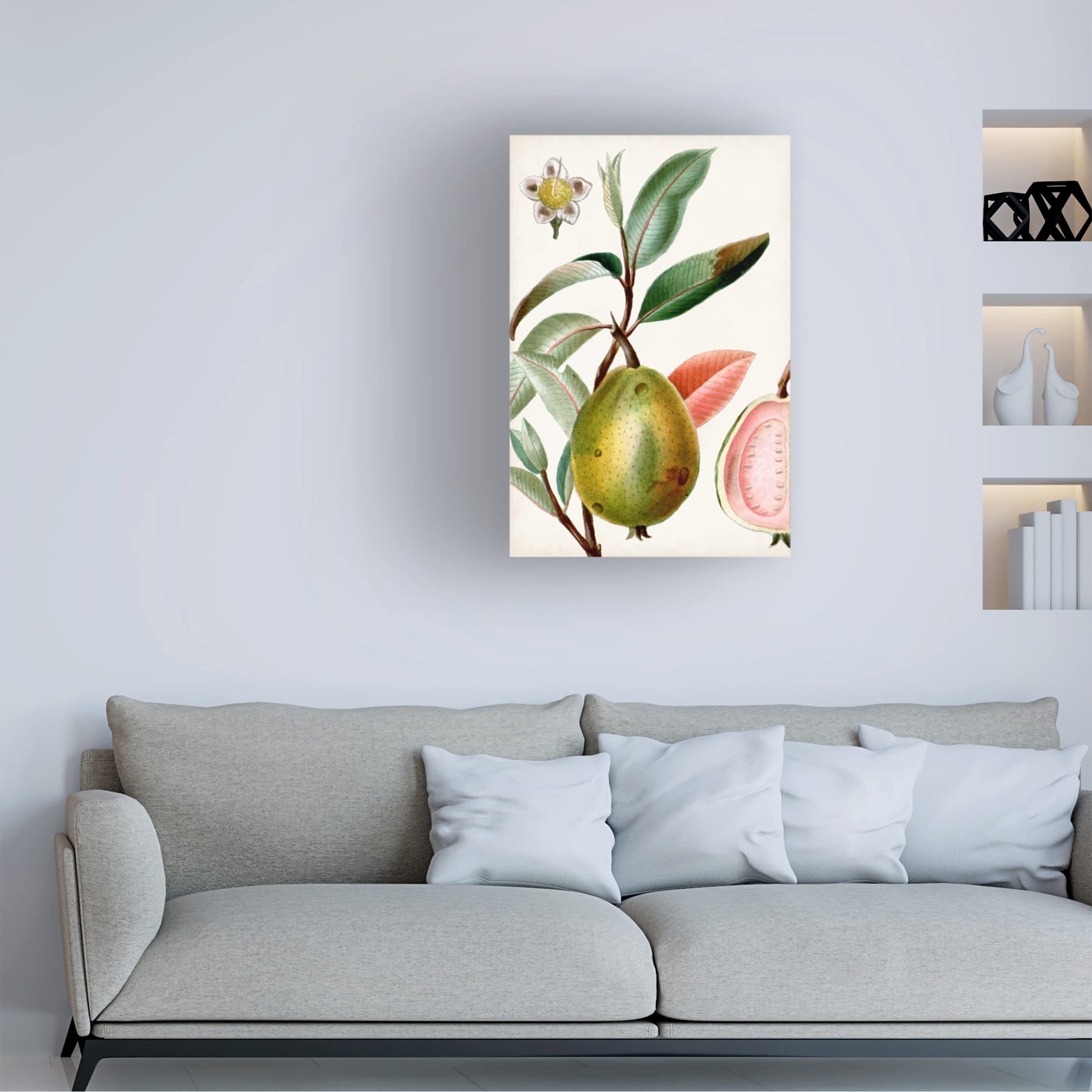 Trademark Fine Art 'Turpin Tropical Fruit IX' Canvas Wall Art Print - Vibrant Tropical Fruit Painting for Home & Office Decor, Kitchen, Dining Room