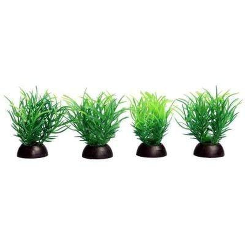 Aqua One Ecoscape Foreground Green Ricca 4 Pack - Live Aquarium Plants for Fish Tank Decorations, Perfect for Freshwater Aquascaping and Shrimp Tanks