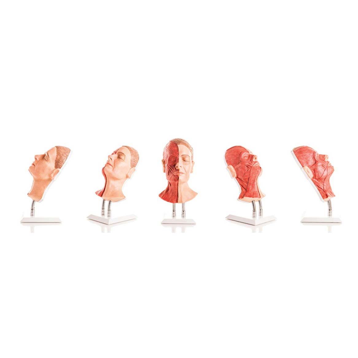 Professional Facial Injection Head for Half-Sided Muscle Treatment - Precision Cosmetic Tool for Botox, Fillers & Anti-Aging Procedures - Perfect for Clinics, Spas & Home Use