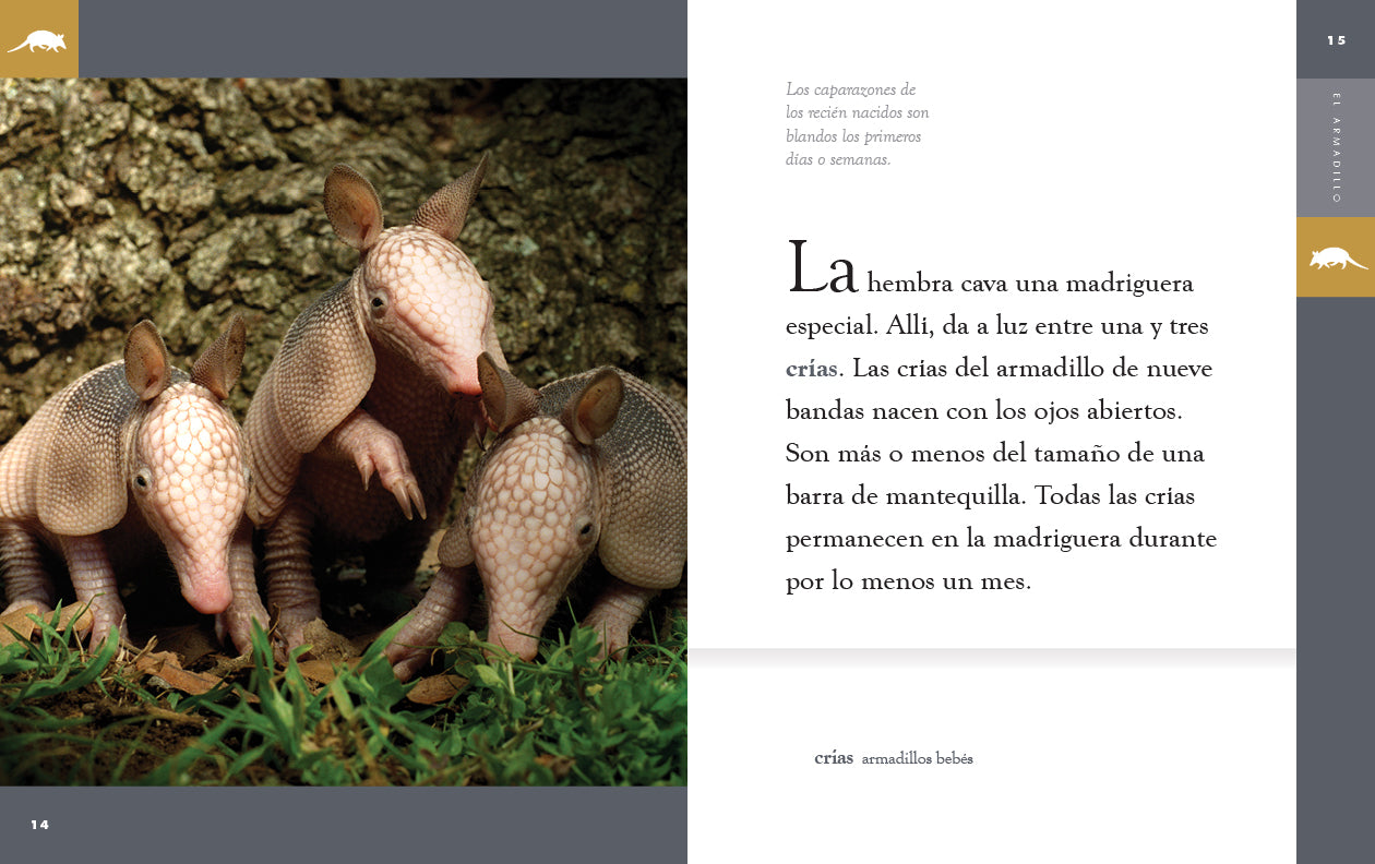El Armadillo Book 9781640265820 - Learn About Armadillos, Wildlife Education, and Nature Exploration - Perfect for Kids, Students, and Animal Lovers