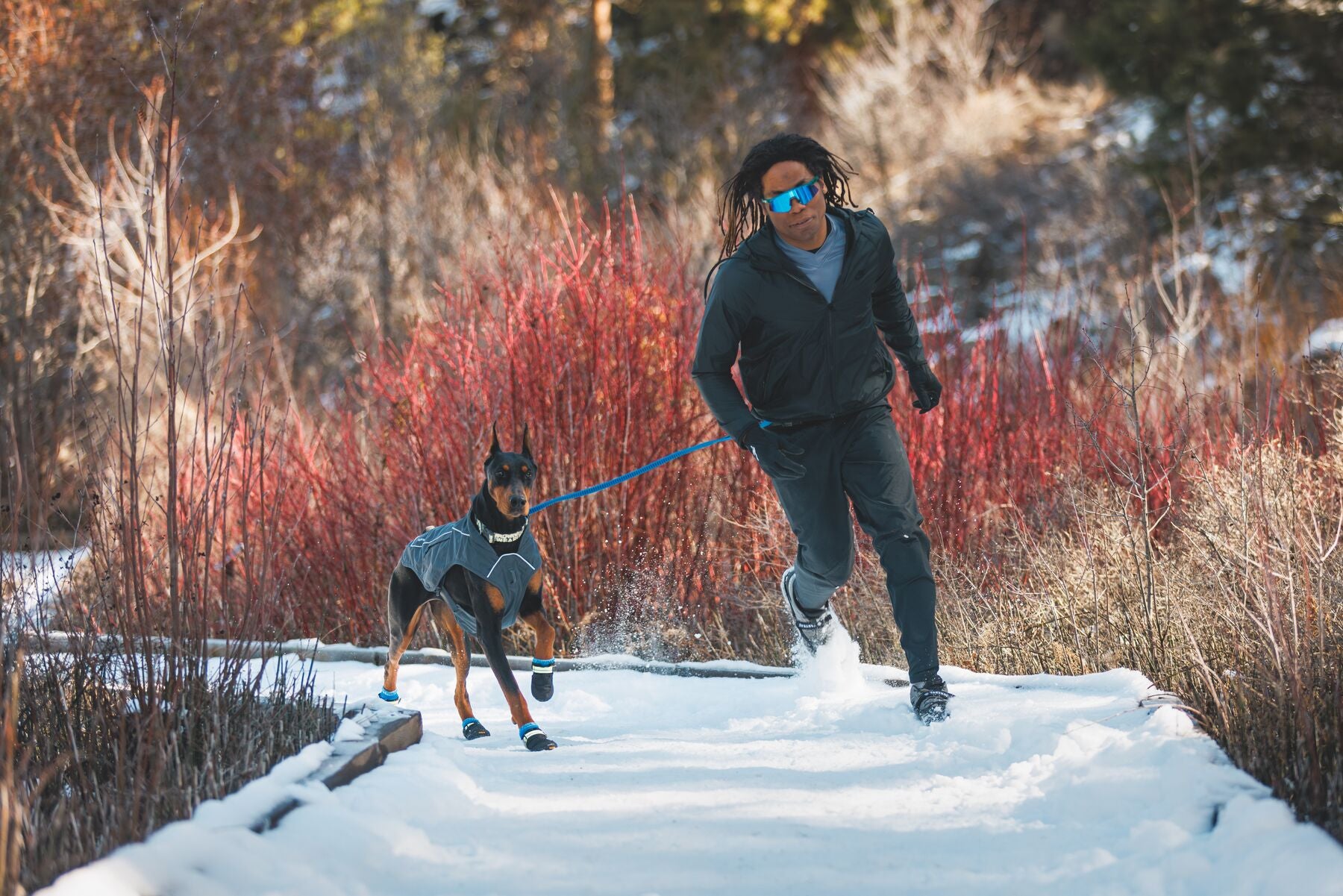 Ruffwear Front Range Dog Harness with Reef Fish Pattern - Lightweight & Adjustable for Hiking, Walking & Outdoor Adventures