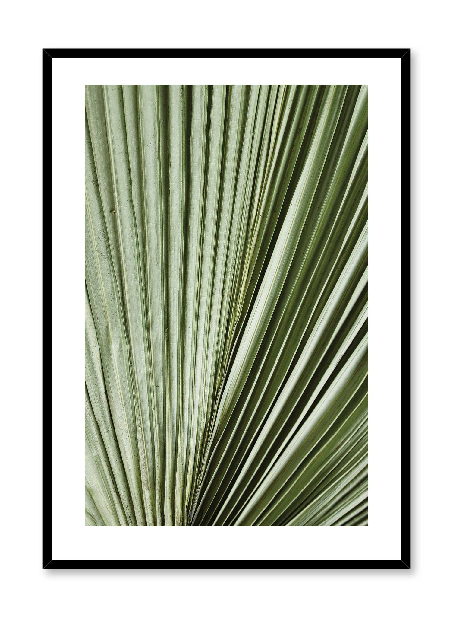 Nature’s Accordion Poster - Beautiful Botanical Wall Art for Home & Office Decor - Perfect for Living Room, Bedroom, or Gift