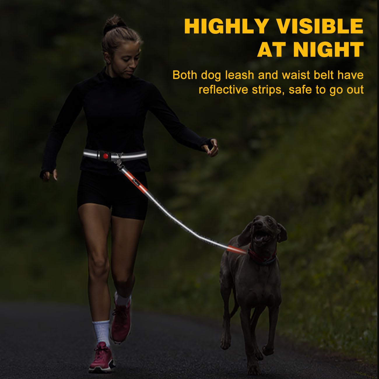 **Hands Free Dog Leash with Waist Belt – Adjustable Bungee Leash for Walking, Hiking & Running | Reflective Stitching & Double Handle | Perfect for Active Pet Owners (Grey)**    *(Use Case: Ideal for jogging, hiking, or daily walks with your dog while keeping your hands free for convenience and safety.)*