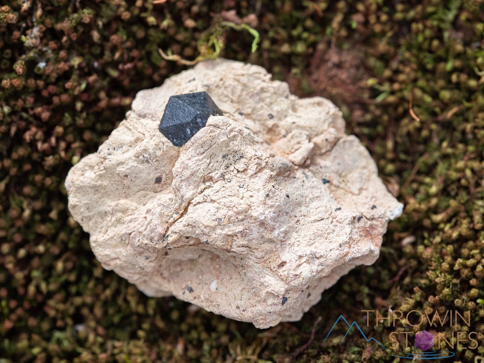 Natural Smoky Quartz Crystal Cluster - Raw Healing Stone for Home Decor, Housewarming Gift & Spiritual Energy (39864) - Perfect for Meditation, Feng Shui & Positive Vibes