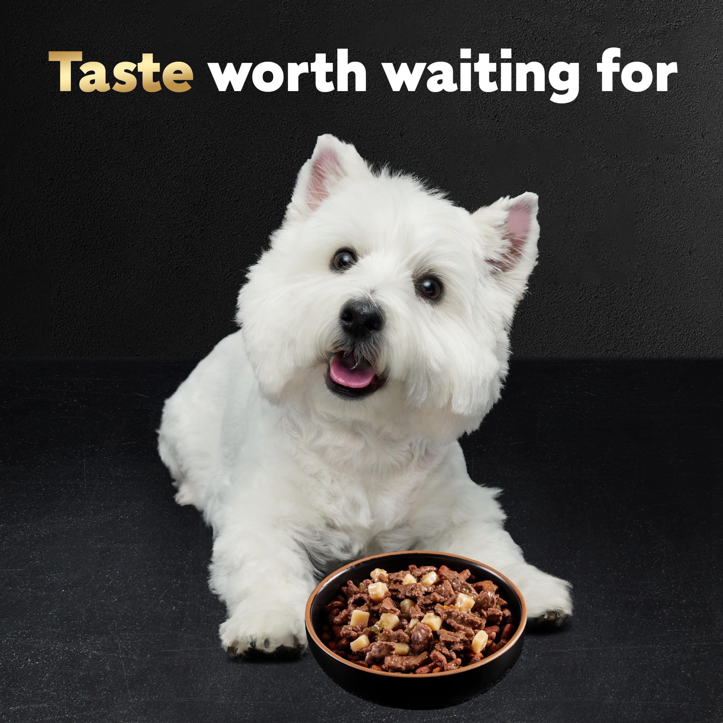 Premium CESAR HOME DELIGHTS Adult Wet Dog Food - Grilled Ribeye Steak Flavor with Vegetables in Sauce, 3.5 oz Easy Peel Trays (Pack of 24) | High Protein Meal for Dogs | Perfect for Travel, Training & Senior Dogs