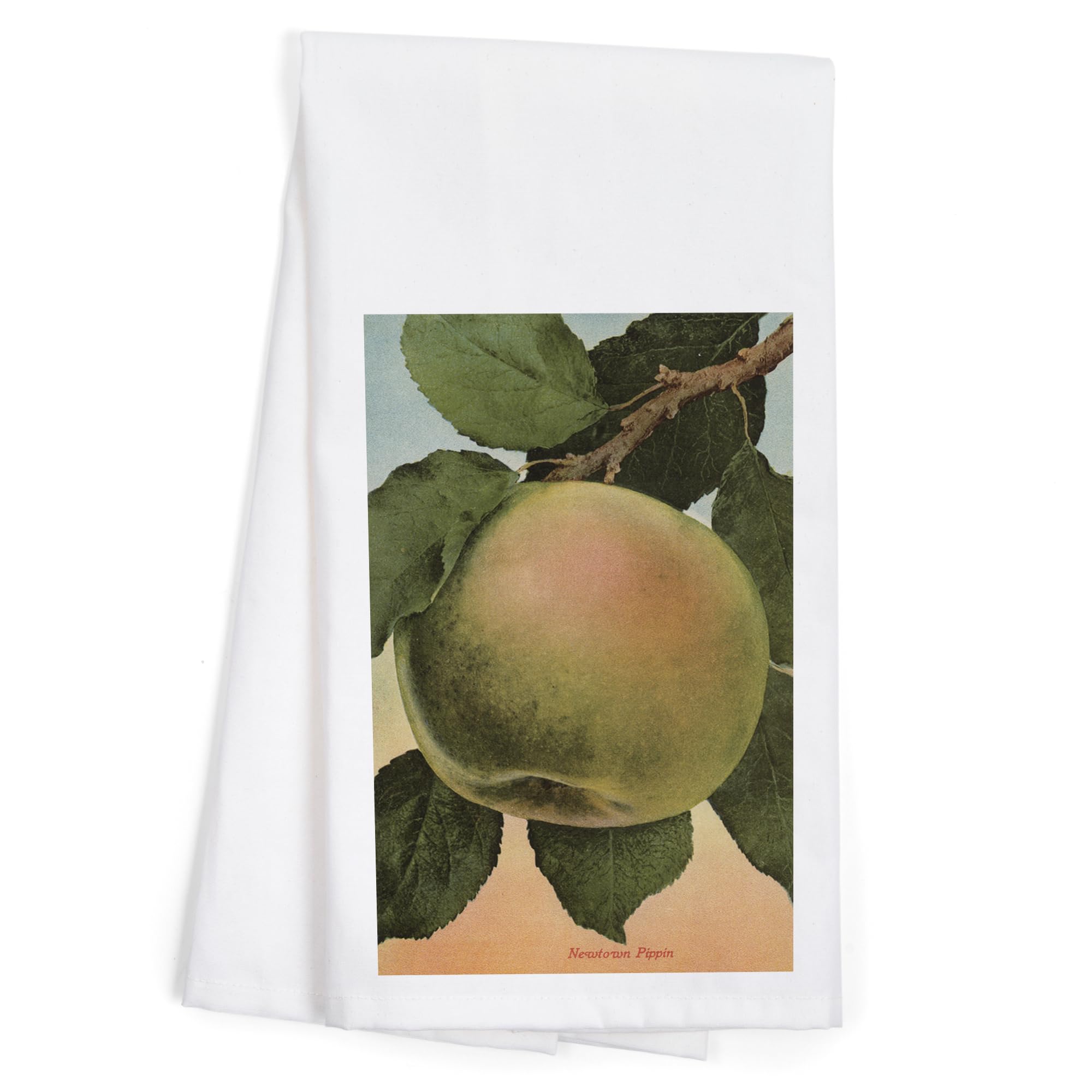 Lantern Press Newtown Pippin Apple Fruit Chromolithograph Cotton Tea Towel - 100% Cotton Decorative Kitchen Hand Towel for Home & Dining Decor