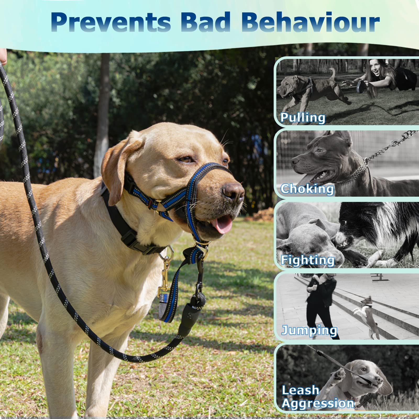 BARKLESS No Pull Dog Muzzle Leash - Adjustable Head Halter for Medium & Large Aggressive Dogs - Gentle Face Harness Stops Pulling & Choking - Stylish Blue Head Collar (Size M) - Perfect for Walking, Training & Controlling Strong Pullers Safely