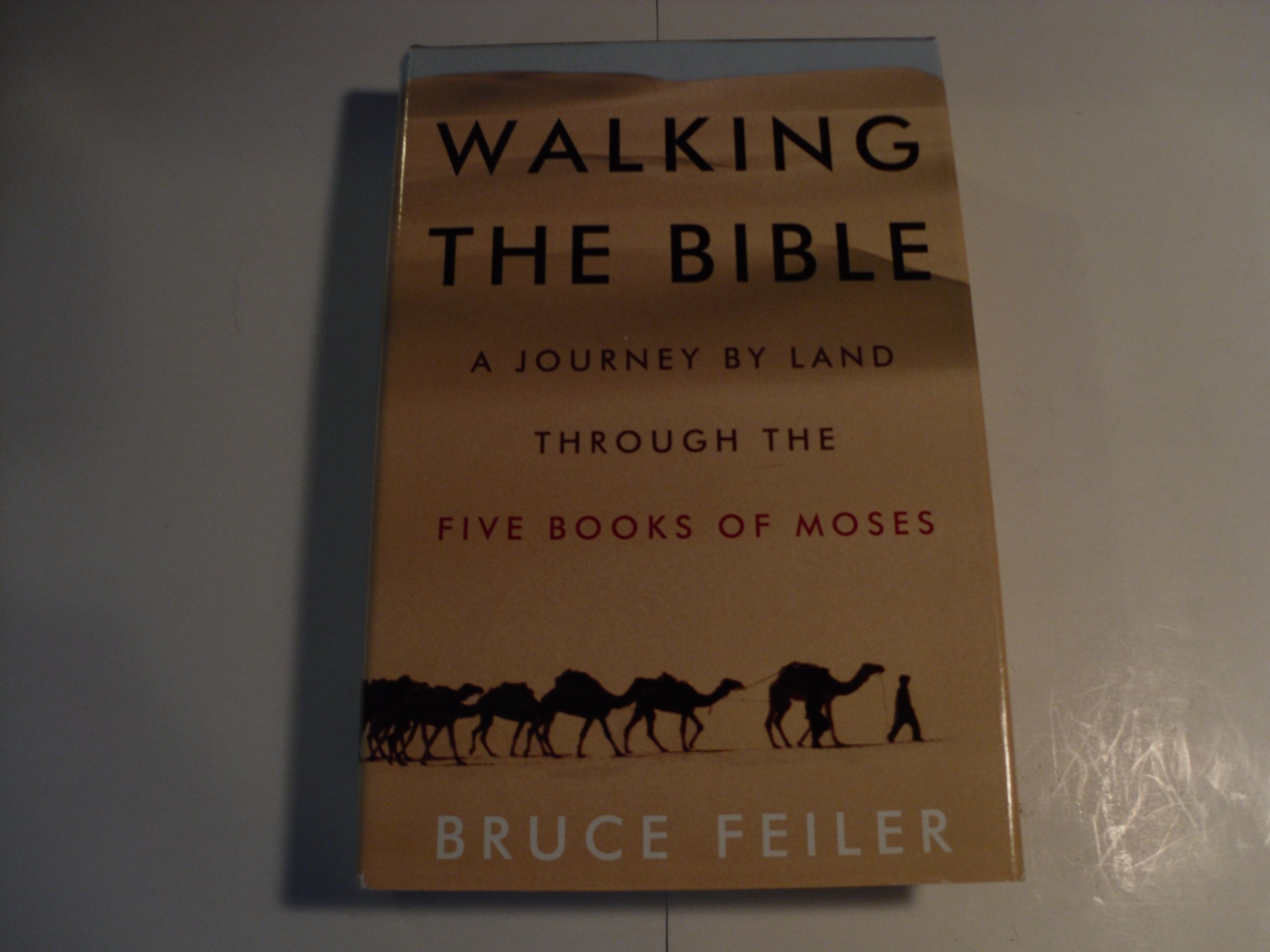 Walking the Bible: A Journey by Land Through the Five Books of Moses - Explore Biblical History & Sacred Sites - Perfect for Christian Travelers & History Enthusiasts