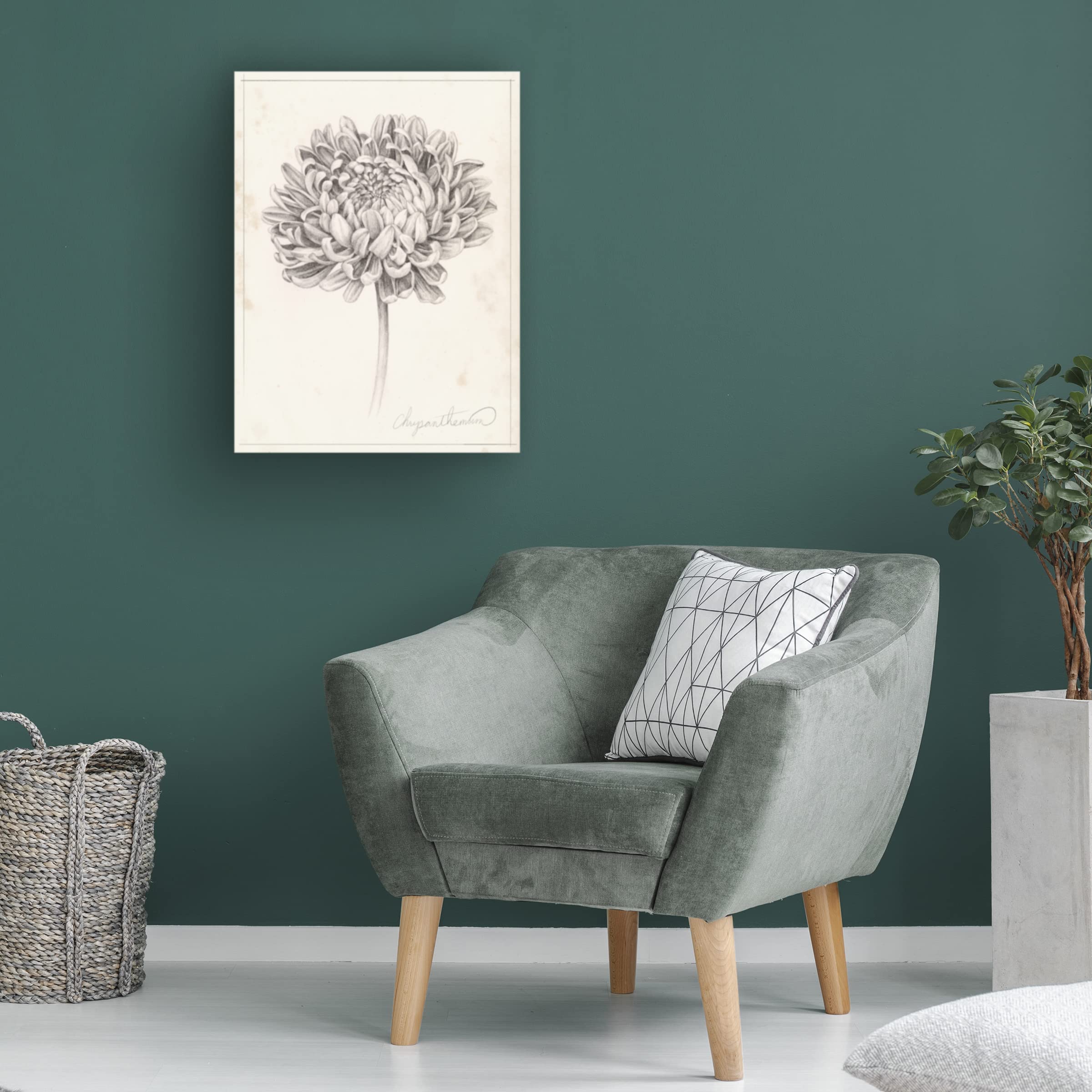 Grace Popp Graphite Chrysanthemum Study II Canvas Wall Art Print - Modern Floral Home Decor for Living Room, Bedroom & Office