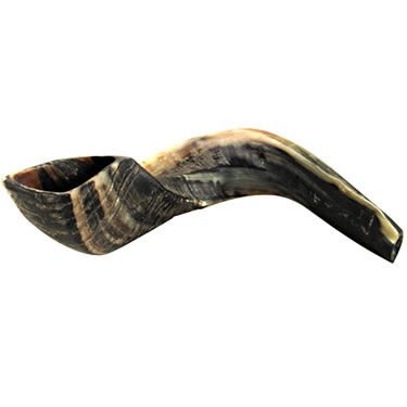 Kosher Ram's Horn Shofar - 20