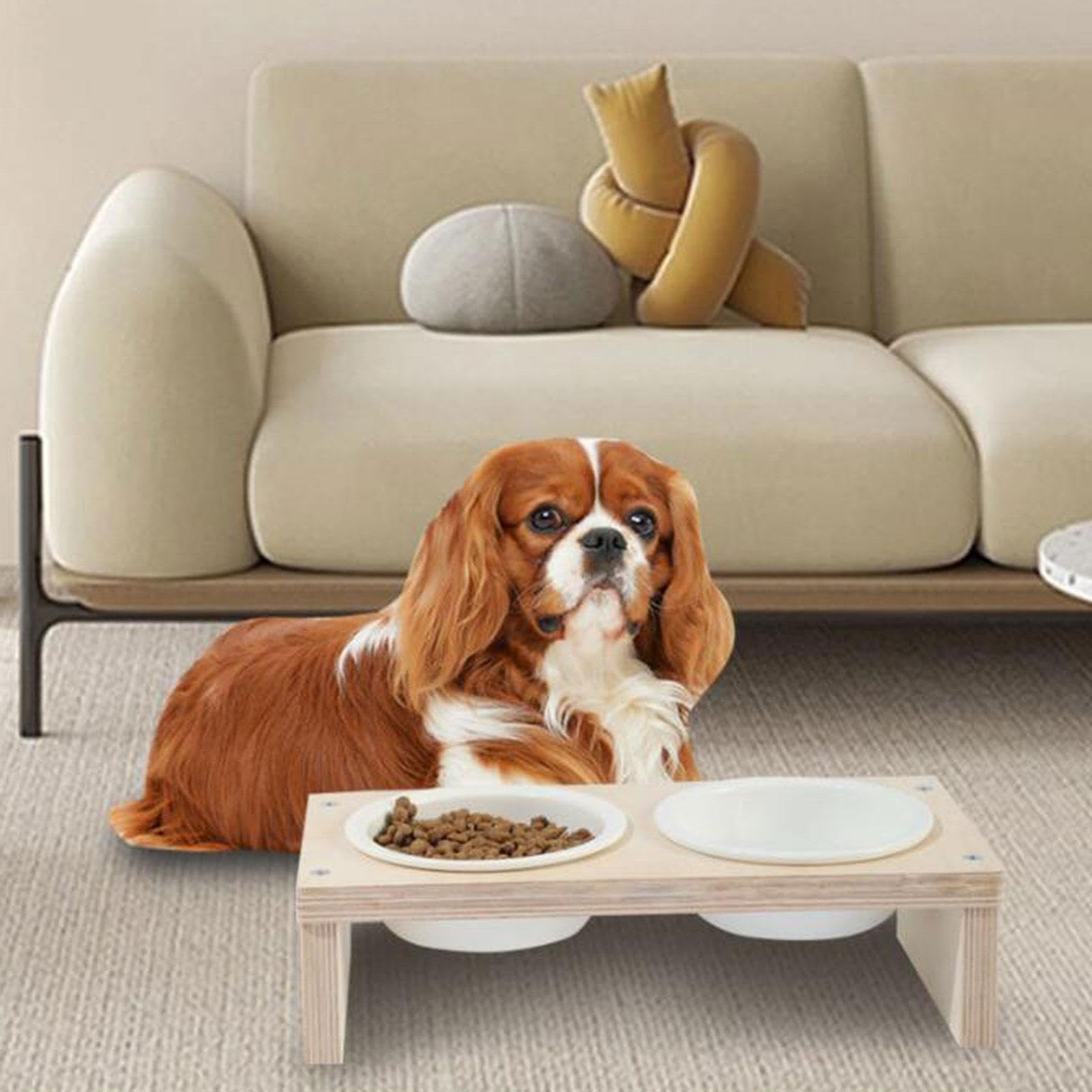 **Enakshi Elevated Cat and Dog Bowls with Neck Protection - Stainless Steel Raised Pet Food & Water Dishes for Healthy Eating - Perfect for Small, Medium, and Large Pets - Ideal for Home, Kitchen, or Travel Use**