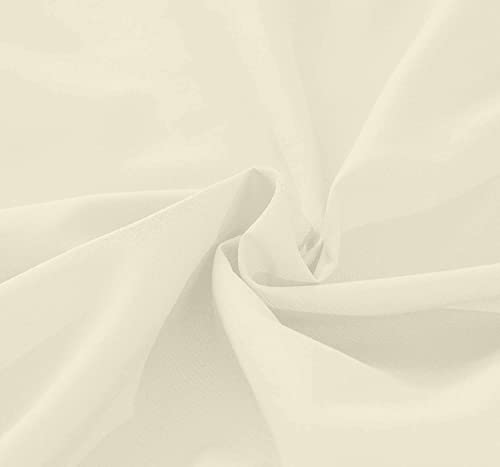 Ivory Solid