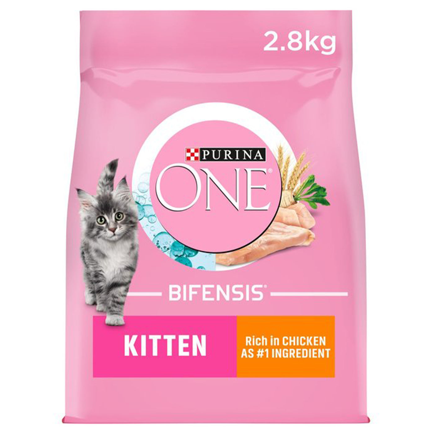 Purina ONE Kitten & Junior Dry Cat Food - Chicken & Whole Grain Recipe, 2.8kg (6.2lb) - High Protein for Healthy Growth - Perfect for Kittens & Young Cats