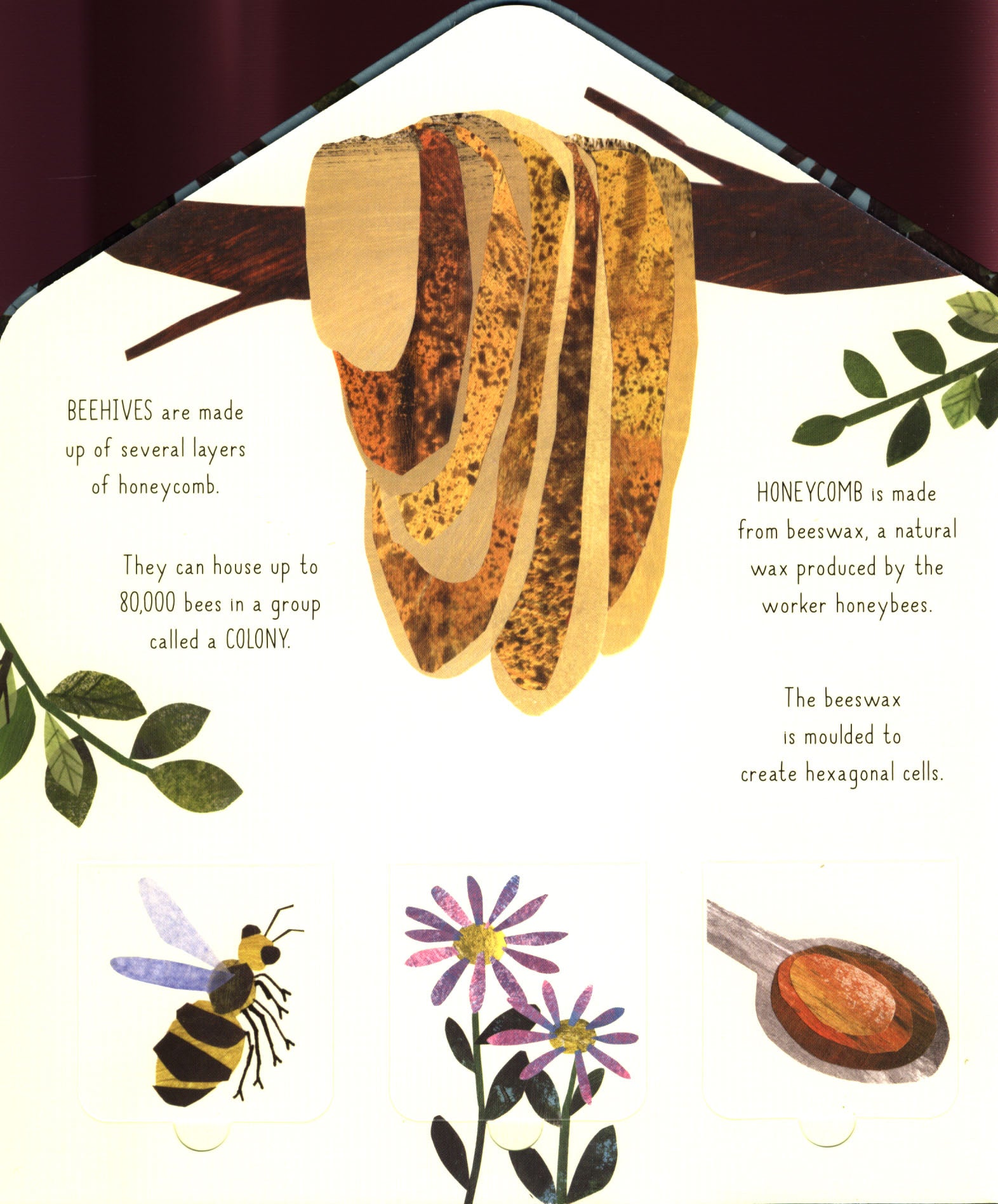 Animal Homes Lift-The-Flap Discovery Book by Libby Walden - Interactive Hard Cover Children's Educational Book for Toddlers & Preschoolers - Perfect for Bedtime Stories & Early Learning Activities