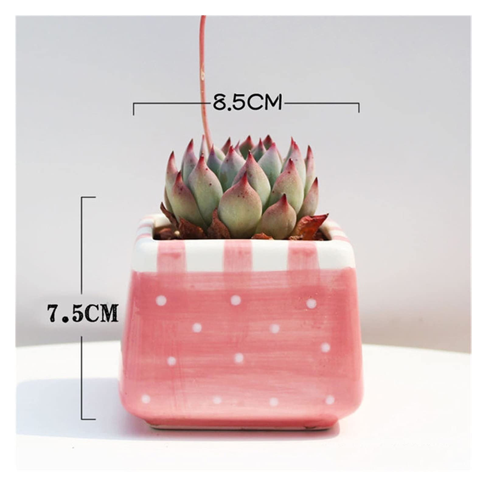 Hand-Painted Ceramic Flower Pots - Set of 8 Cute Succulent Planters with Glaze Finish for Home, Garden & Indoor Decor | Perfect for Windowsills, Office Desks & Gift Giving