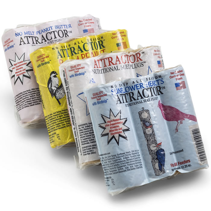 Attractor Nutritional Suet Plugs Assortment - High Energy Bird Food for Wild Birds - Perfect for Backyard Bird Feeders, Woodpeckers & Winter Bird Feeding