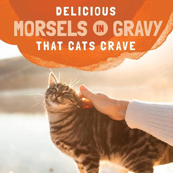 Natural Balance Platefulls Turkey, Chicken & Duck Recipe Morsels in Gravy - Grain-Free Wet Cat Food Pouches for Adult Cats - Perfect for Mealtime, Travel & Picky Eaters