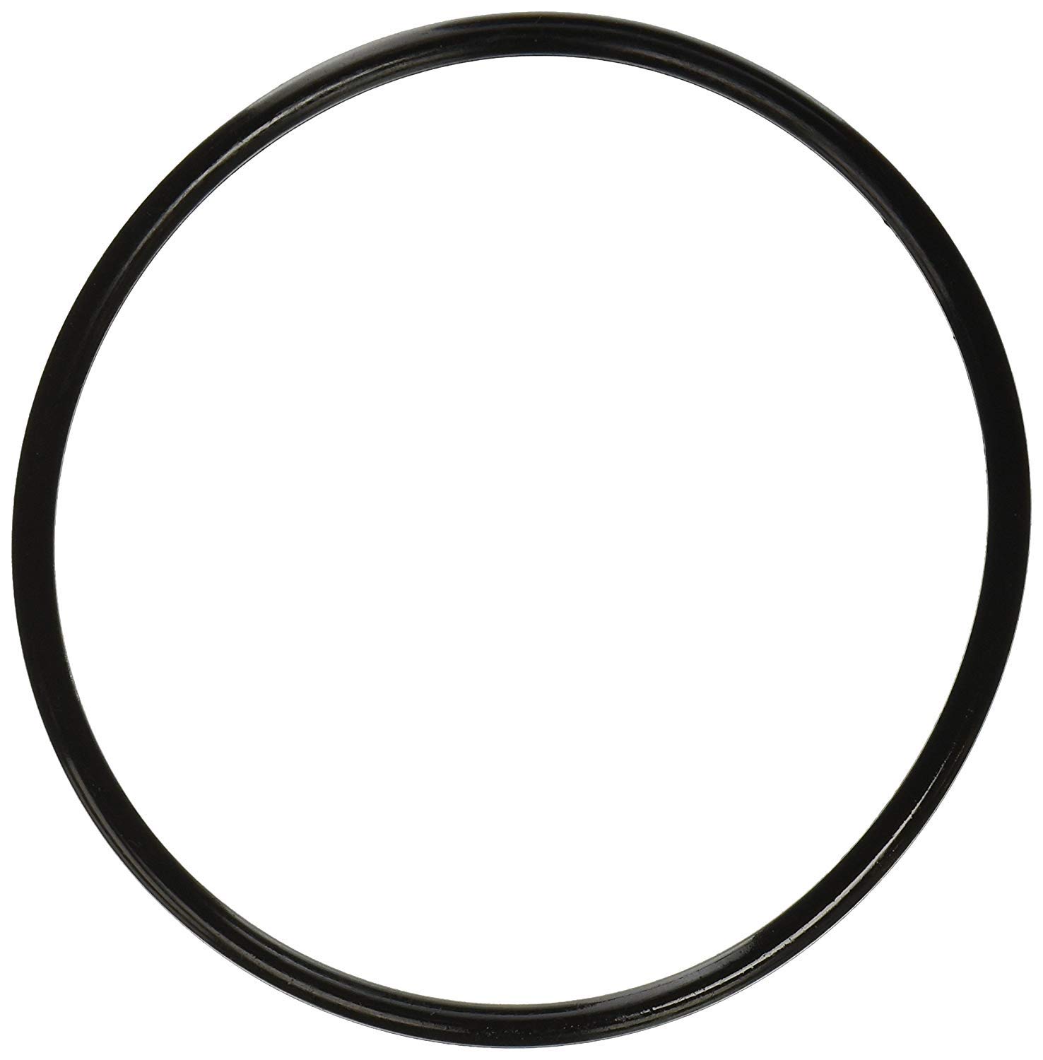 Waterway 805-0439 Pump O-Ring Replacement - Compatible with Tiki Island Pool Express - Durable Pool Pump Seal for Spa, Hot Tub & Swimming Pool Maintenance