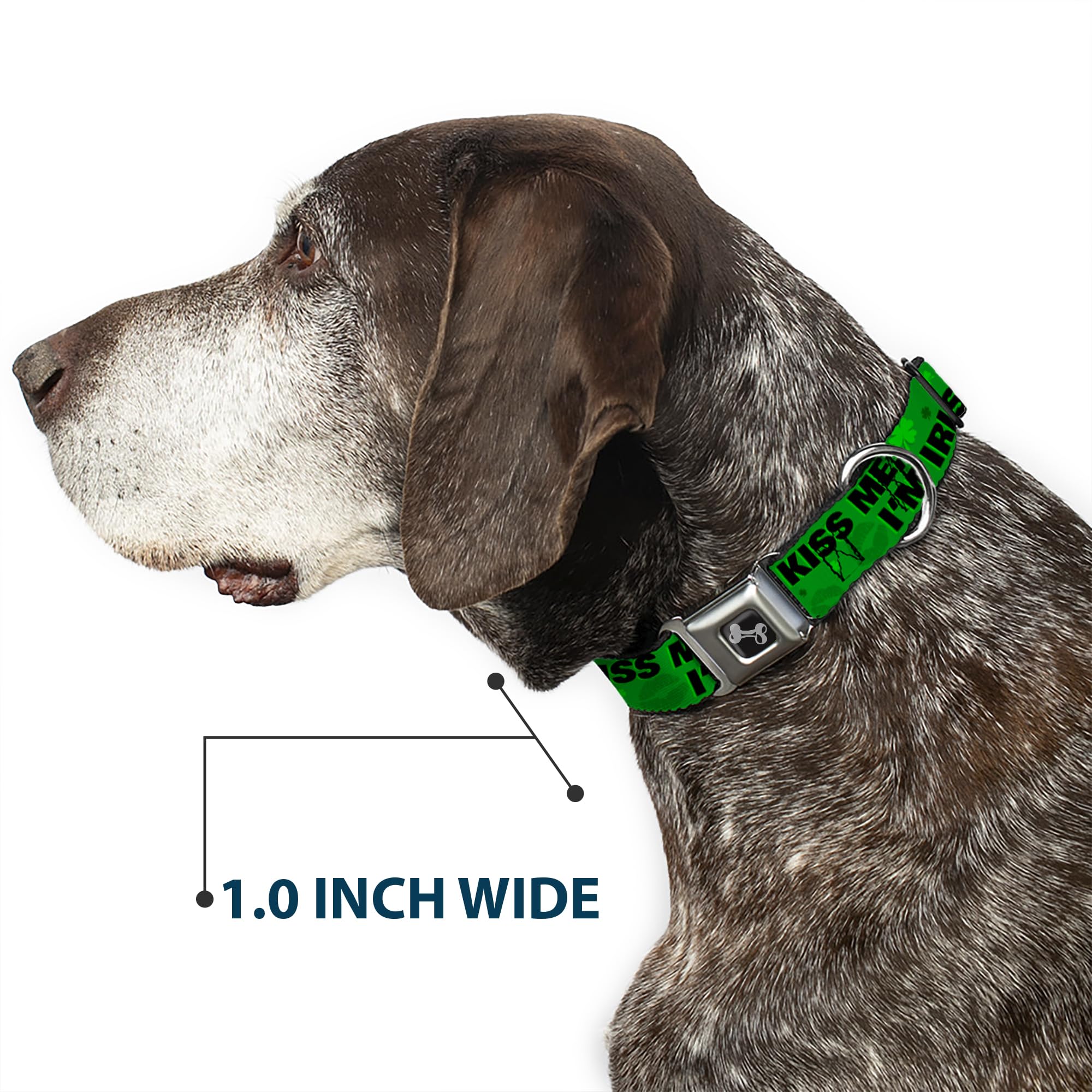 Dog Seatbelt Collar with Buckle - Kiss Me I'm Irish Clover Design, Green & Black, 16-23 Inches, 1.5 Inch Wide - Safe Car Travel for Medium Dogs